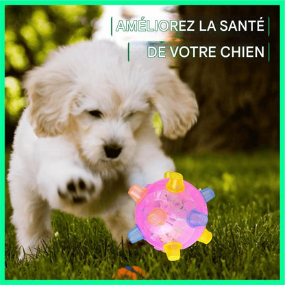 🐶🐾 Le Jouet Intelligent Qui Garde Votre Animal En Bonne Santé, Heureux Et Toujours Stimulé