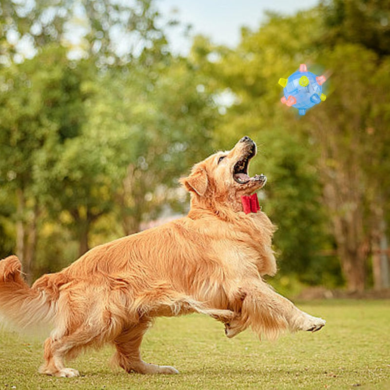 🐶🐾 Le Jouet Intelligent Qui Garde Votre Animal En Bonne Santé, Heureux Et Toujours Stimulé