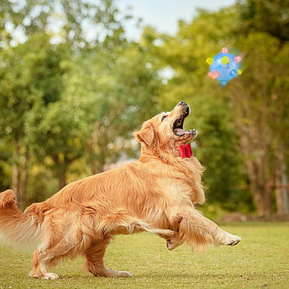 🐶🐾 Le Jouet Intelligent Qui Garde Votre Animal En Bonne Santé, Heureux Et Toujours Stimulé