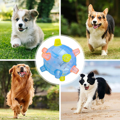 🐶🐾 Le Jouet Intelligent Qui Garde Votre Animal En Bonne Santé, Heureux Et Toujours Stimulé