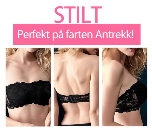 "Soutien-gorge bandeau en dentelle sans couture pour femmes, haut de tube superposé, soutien-gorge sans bretelles(BH22)